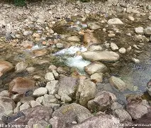 三亿体育官网-包含河床多线作战阵容调整，保证体能充沛的词条