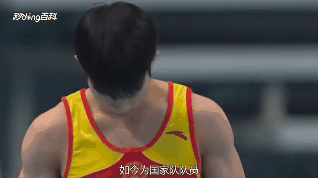 体操队接连夺冠，中国运动员表现抢眼的简单介绍